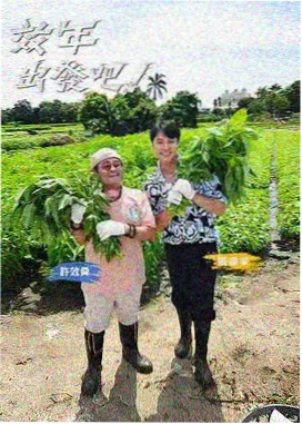 城市漫游者 现场照